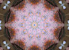 bedroom kaleidoscope