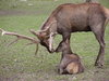 Father and son.... ( cute !)