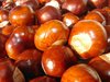 Autumn Fruits