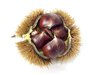 (Sweet) Autumn Fruits