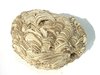 Wasp Nest