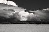 Faux IR Landscape