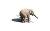 Elephants 3