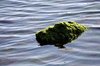Rock & water