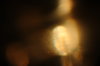 blur