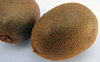 kiwi fruit