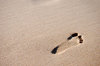 footprint R