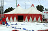 it's the circus!