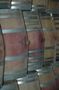 Wine cellar 4