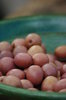 Olives