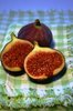 Fig