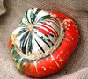 Ruban squash
