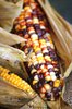Corn
