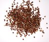 Sichuan pepper