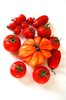 Different tomatoes 1