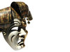 venetian mask