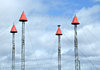it's the circus!