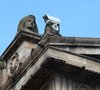 Who is watching over you?
