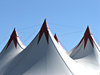 it's the circus!