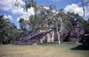 Mayan Ruins