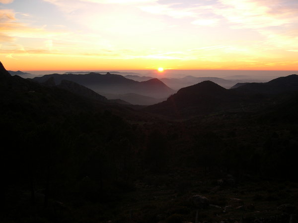 going going gone: sunset mountain mist