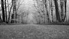 Long Road