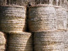 Straw Bales 3