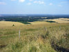 English Countryside