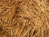 Straw