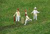 Cricket