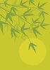 Bamboo