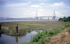 Ravenel Bridge