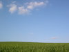 Fields of sky