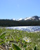 Brainard Lake