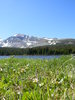 Brainard Lake