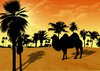 desert