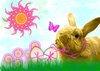 Easter bunny 1