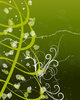 background 2