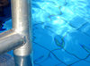 A day in the swimmingpool 10