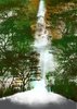 falls