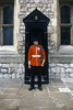 Queen's Guard