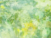 summer background