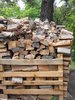Wood pile