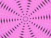 pink daisy circle