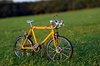 Bicycle on the grass