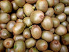 kiwi fruit