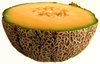 rock melon texture
