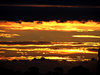 golden dusk