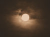 sepia moon
