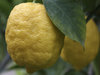 Lemons